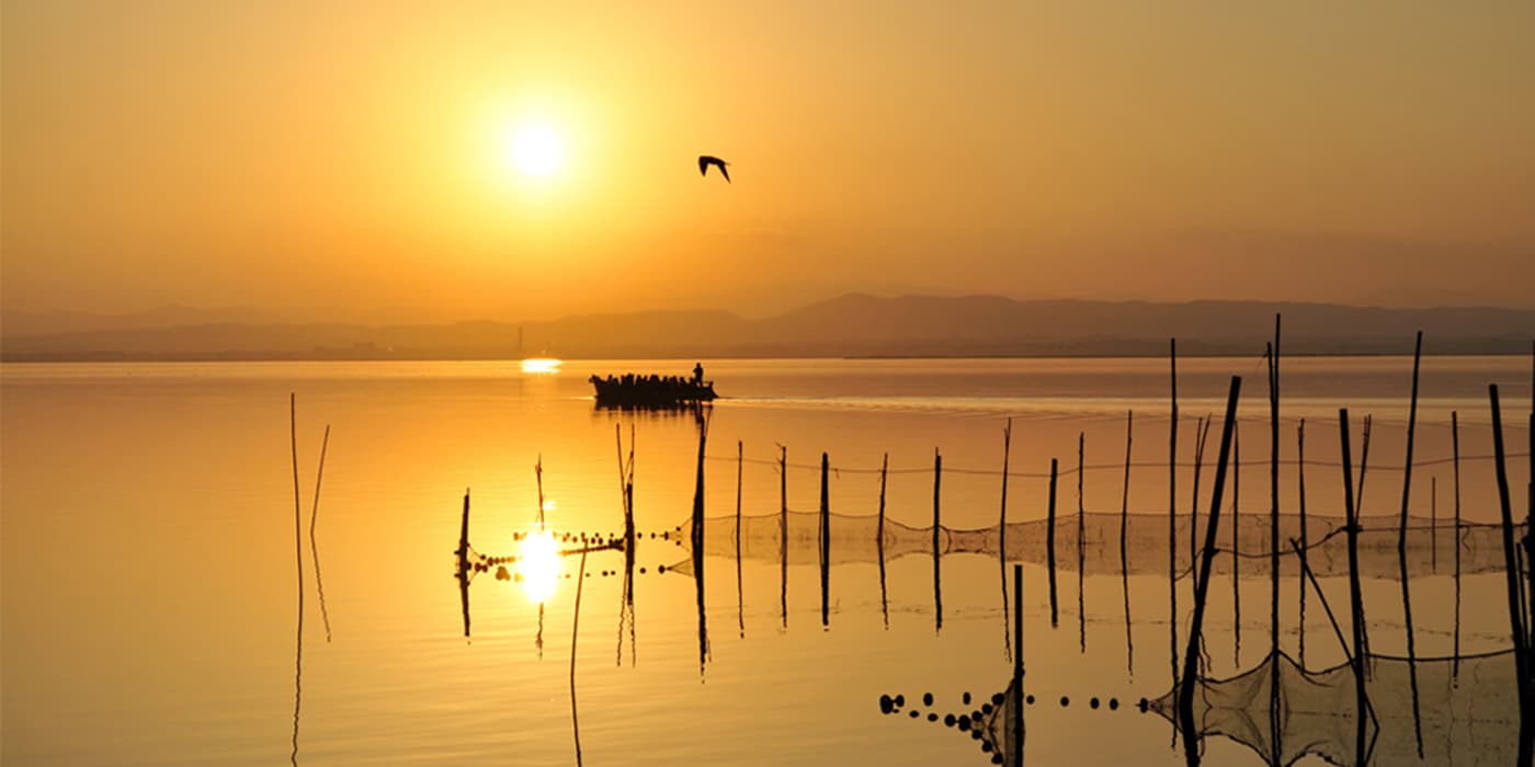 Atardecer en el Parque Natural de la Albufera