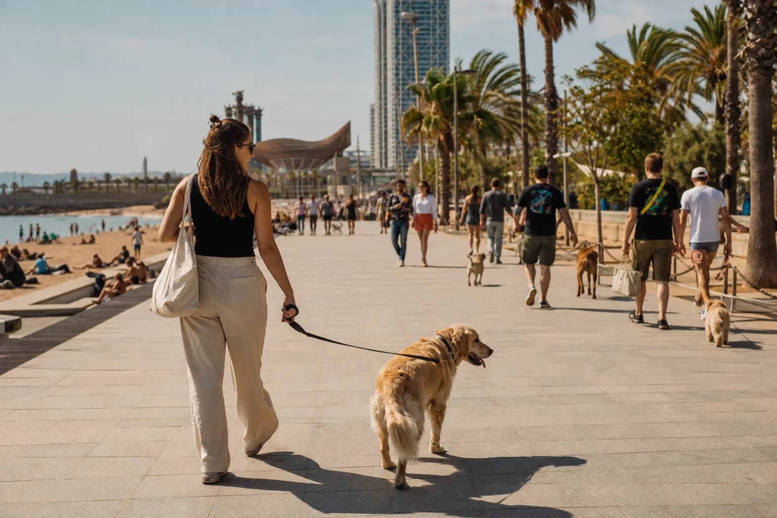 Los 5 Mejores Sitios para Pasear con tu Perro en Barcelona