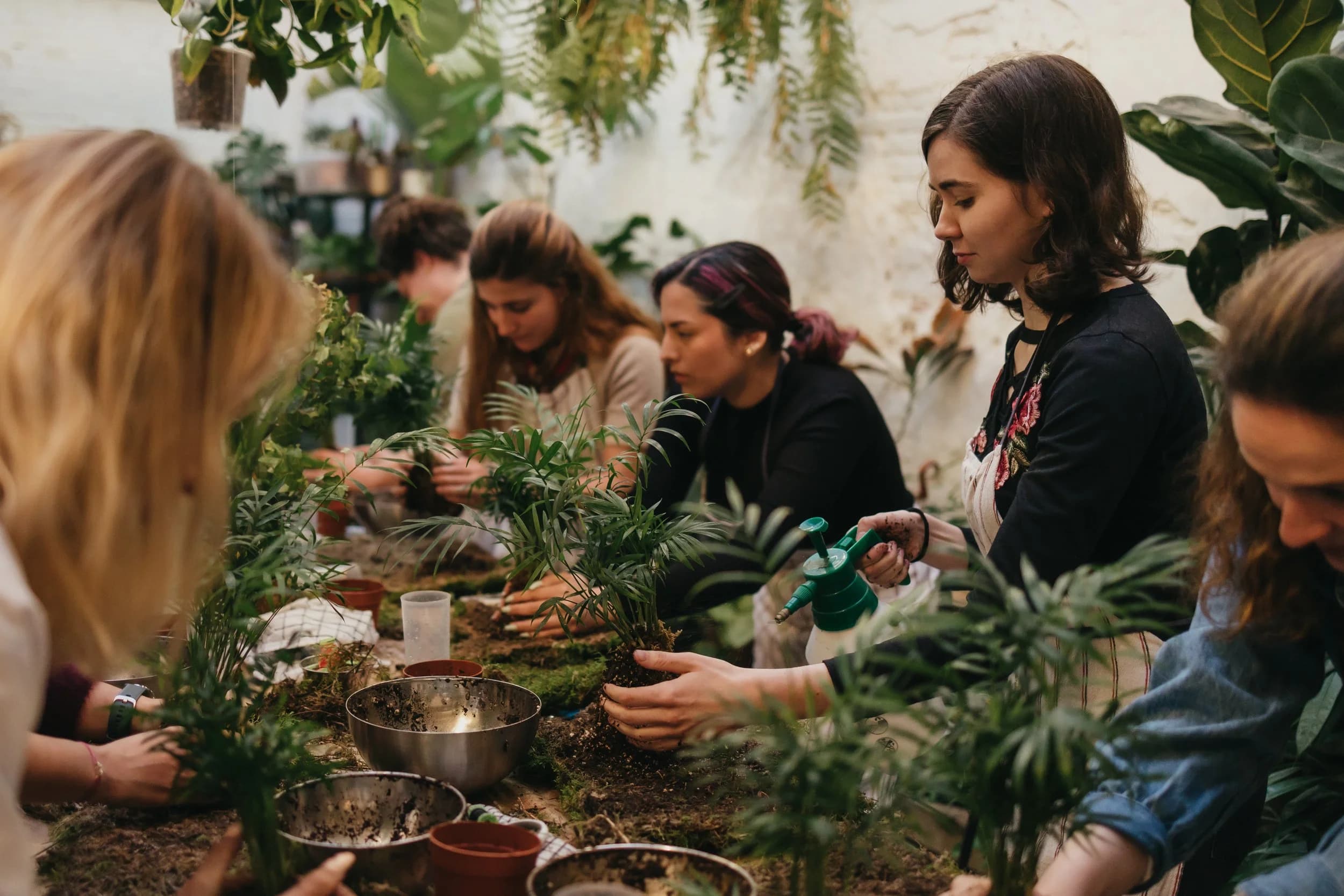 Kokedama japonesa con musgo y planta suspendida en taller de Poble-sec