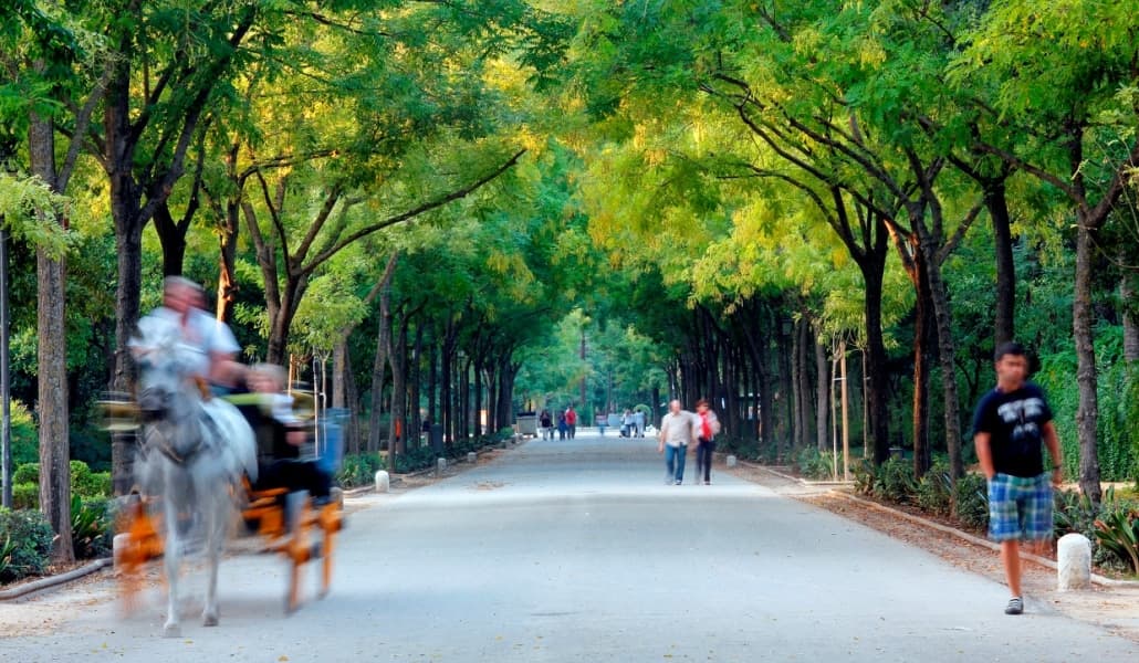 Parque de María Luisa