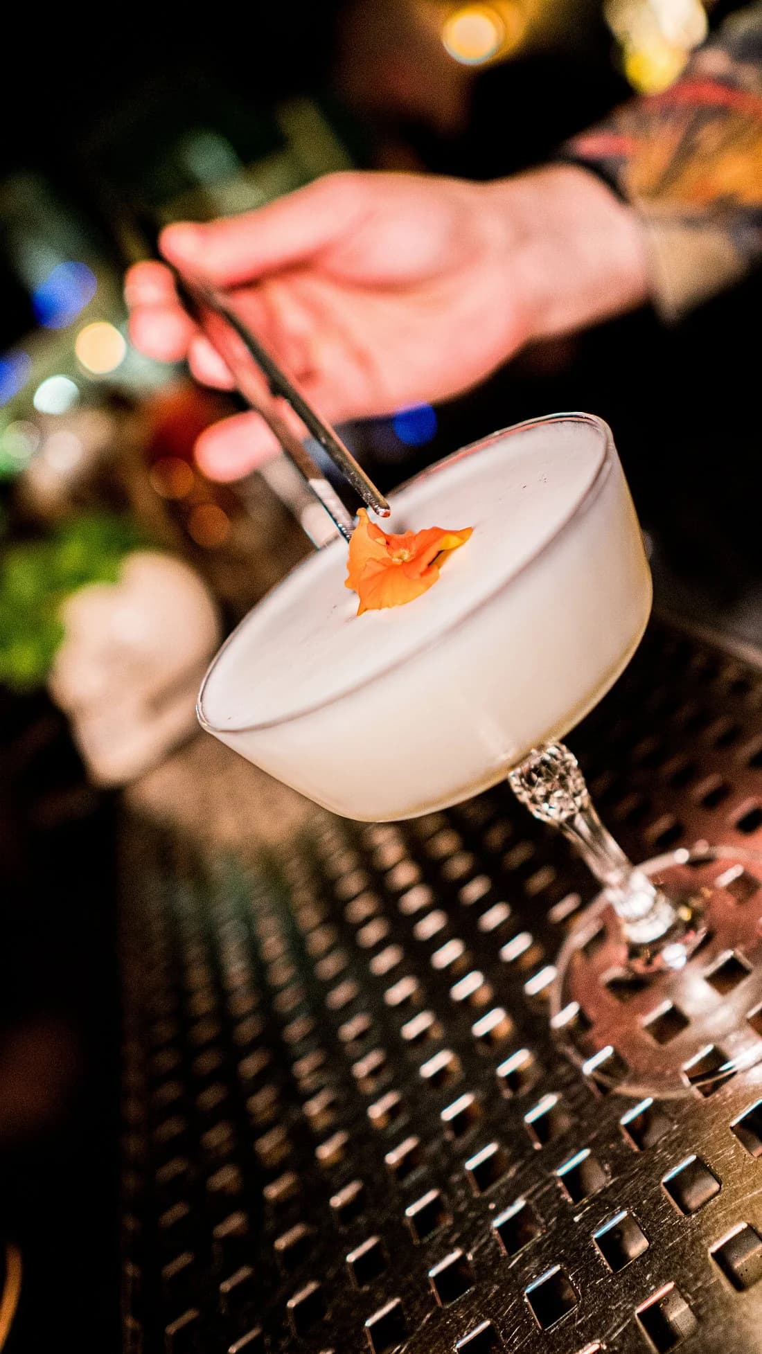 26 Cocktail Room Plaza Portal de Elche Alicante