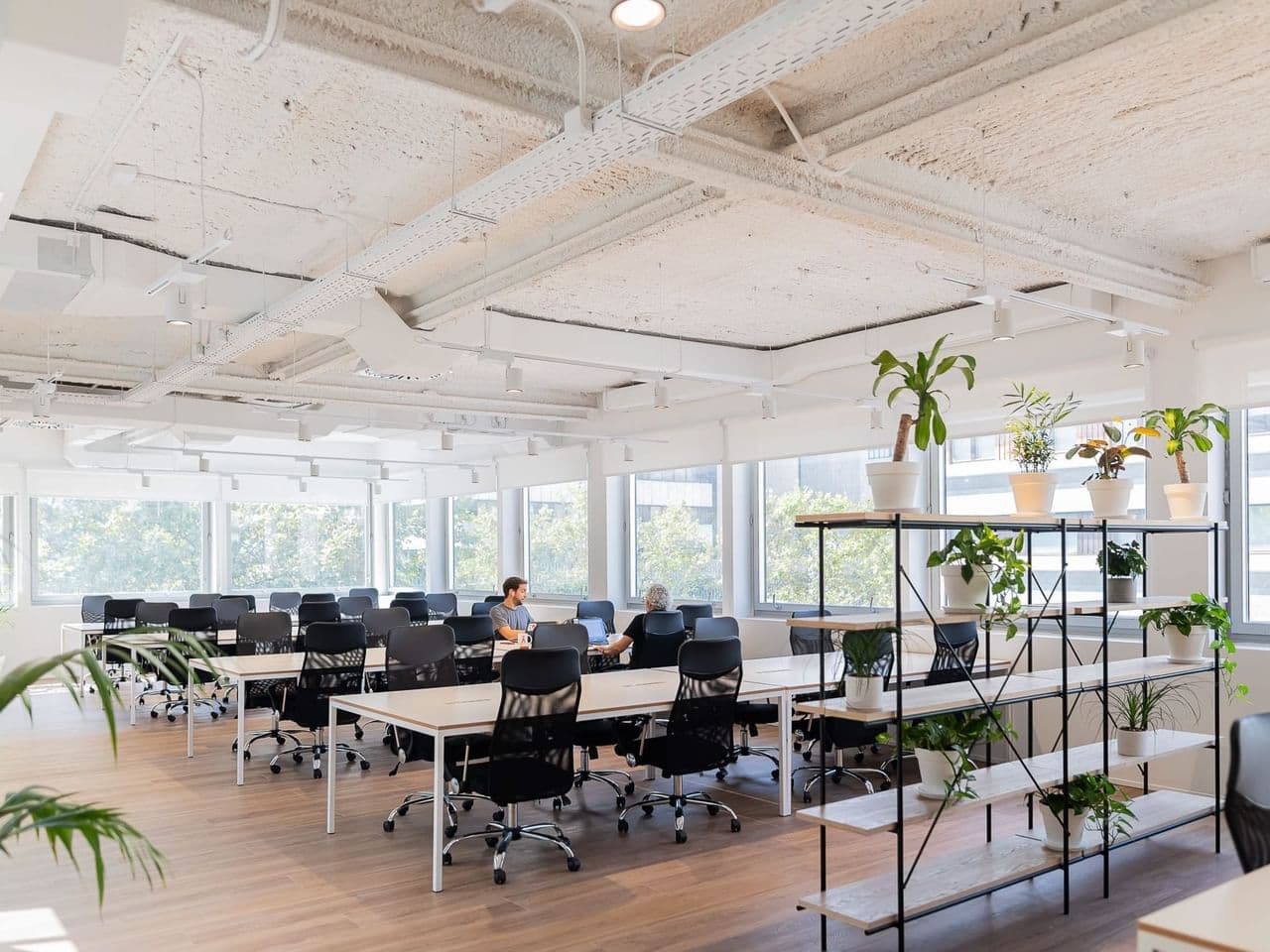 Espacio moderno de Aticco Colón