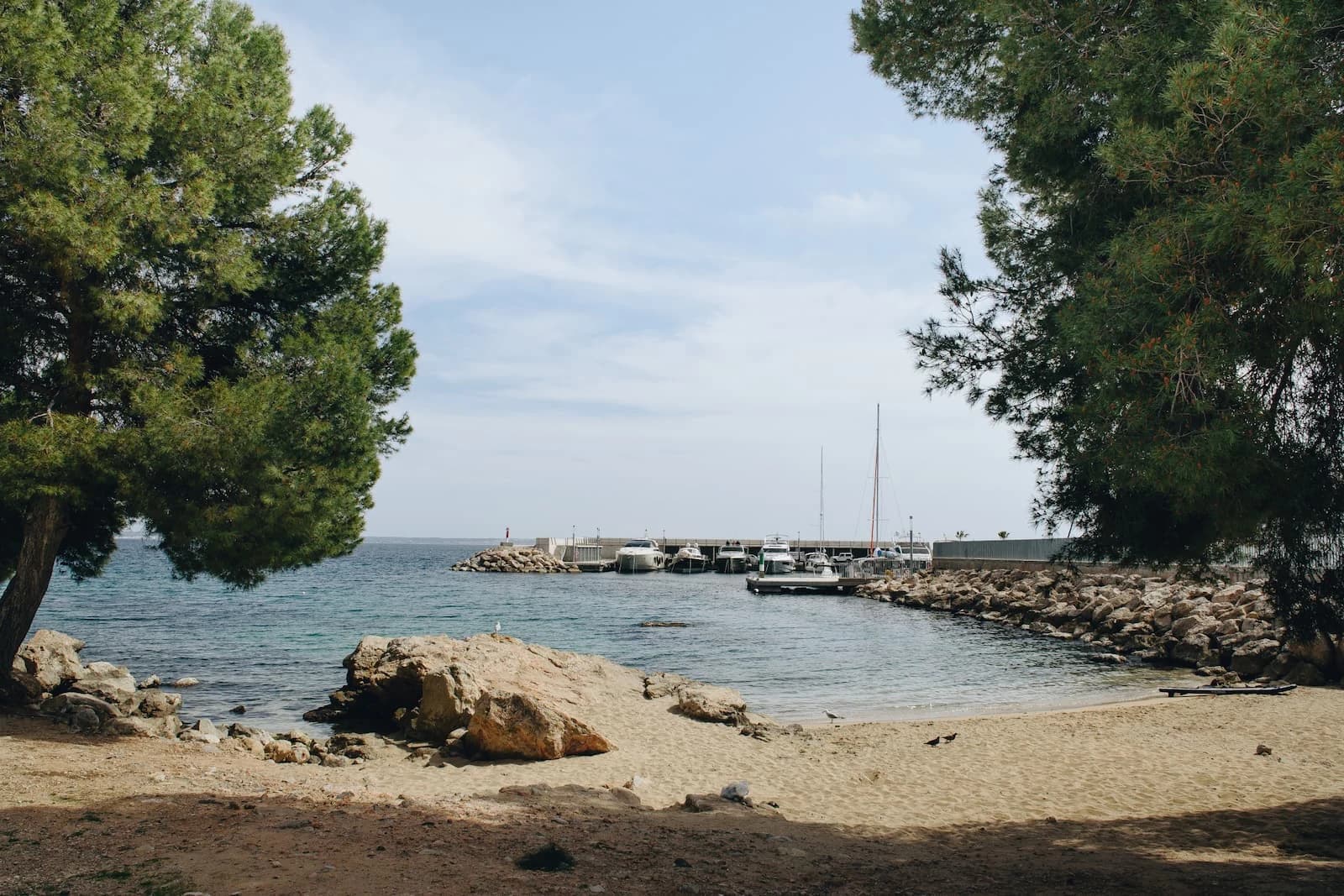 Imagen de Cala Nova en Palma de Mallorca