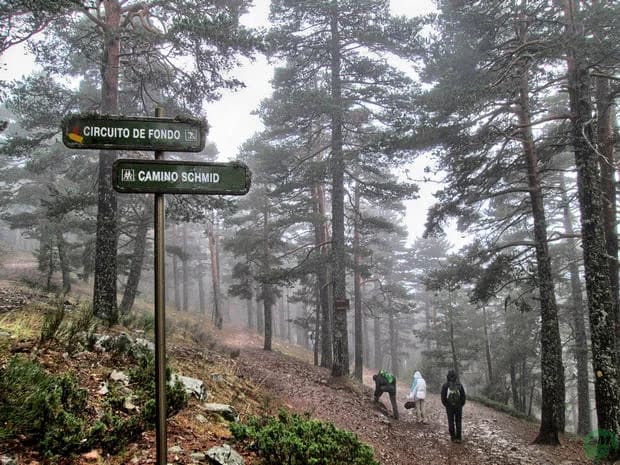 Camino Schmidt (Puerto de Navacerrada) Madrid