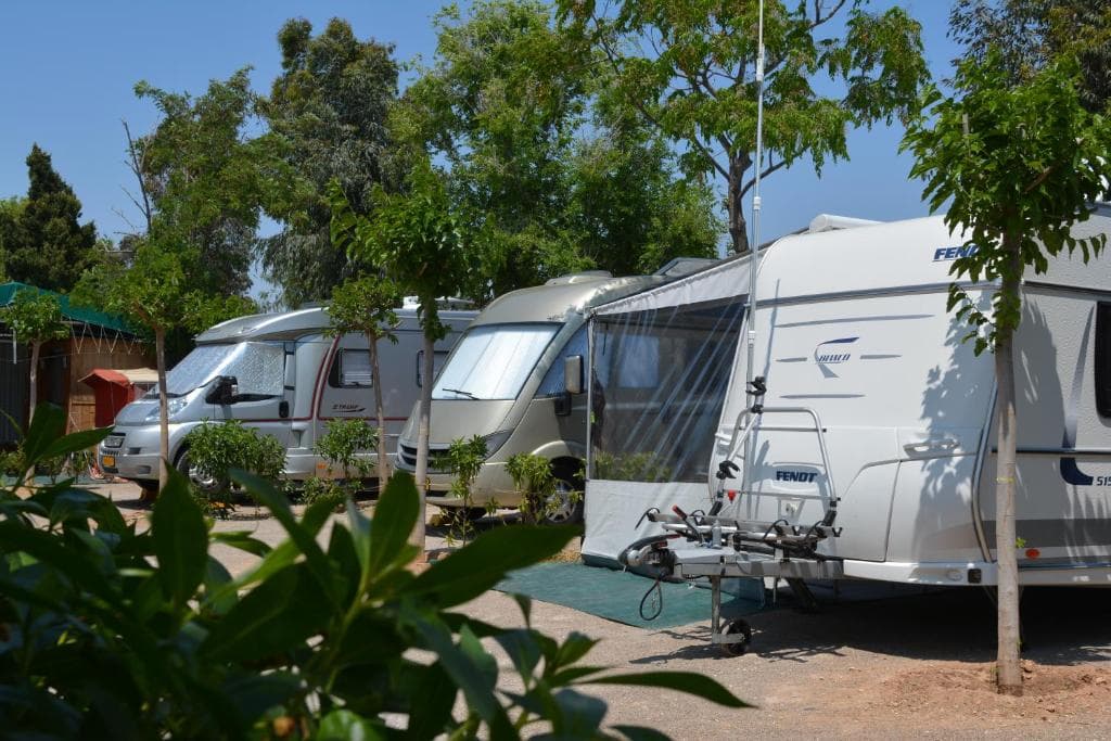 Camping Valencia El Saler rodeado de pinos