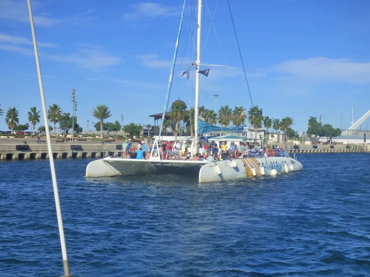 Catamarán navegando por el puerto de Valencia