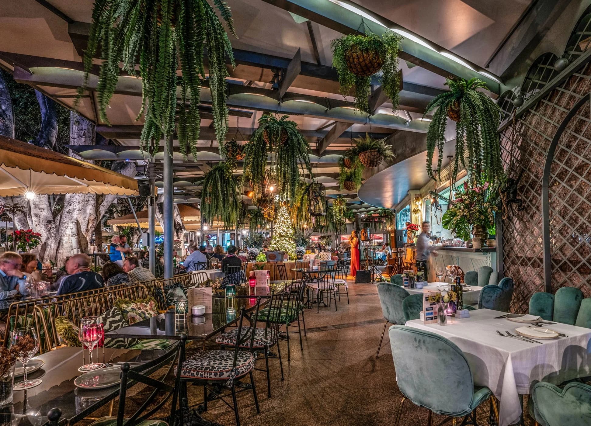Club Café Plaza del Charco Puerto de la Cruz Tenerife