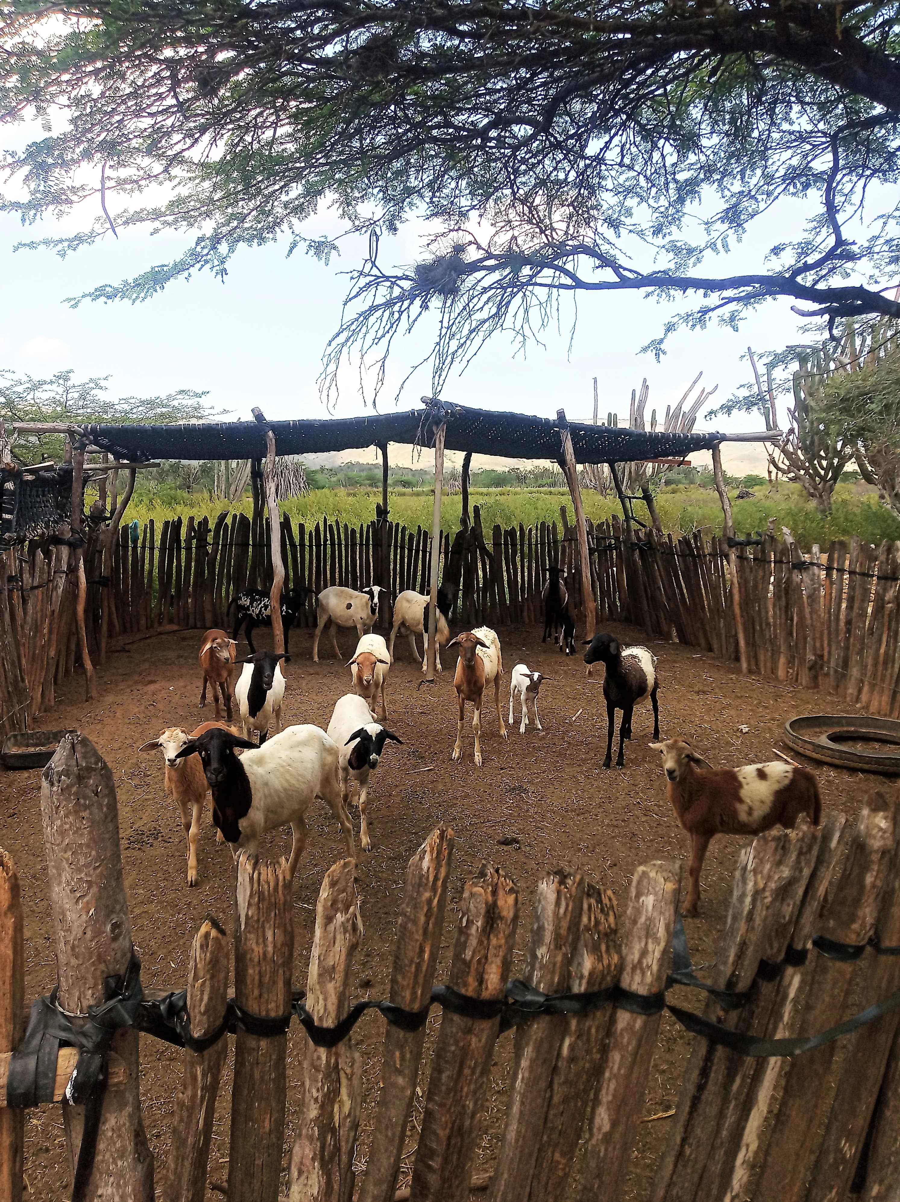Corral del Carbón alhóndiga árabe Mariana Pineda Granada