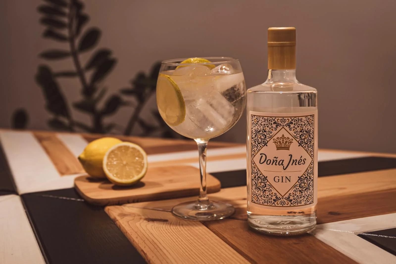 La Destilería de Málaga ginebra artesanal botánicos Gin CINCO