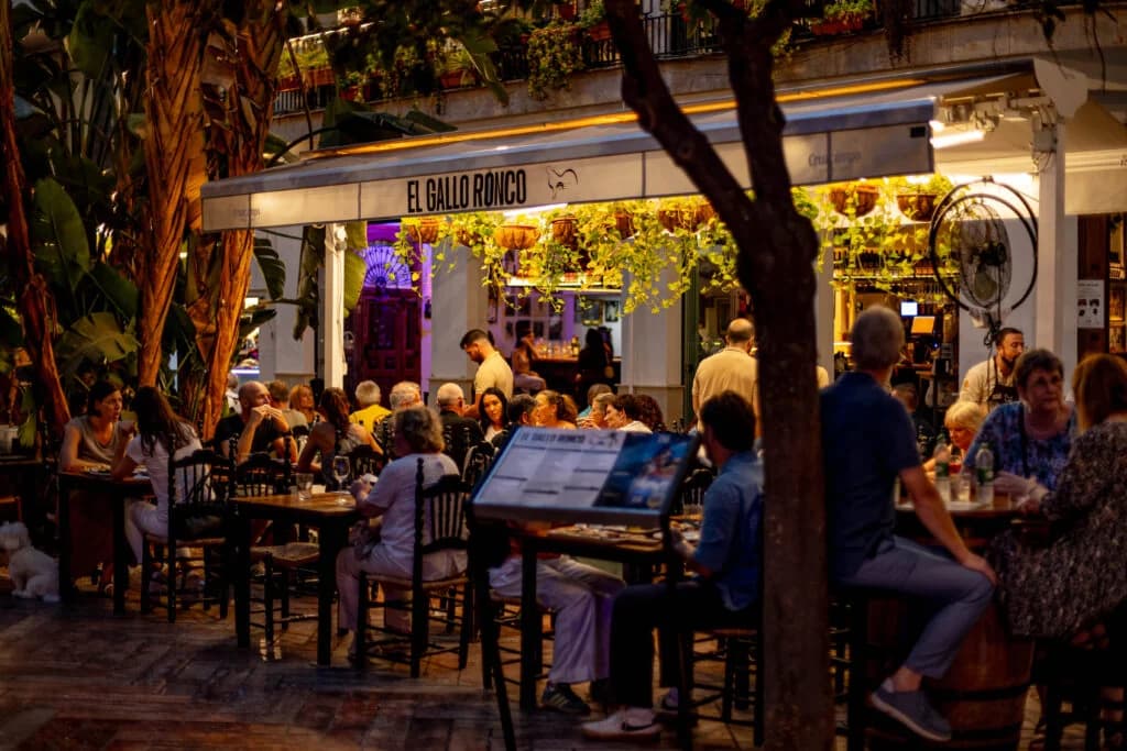 El Gallo Ronco Malaga