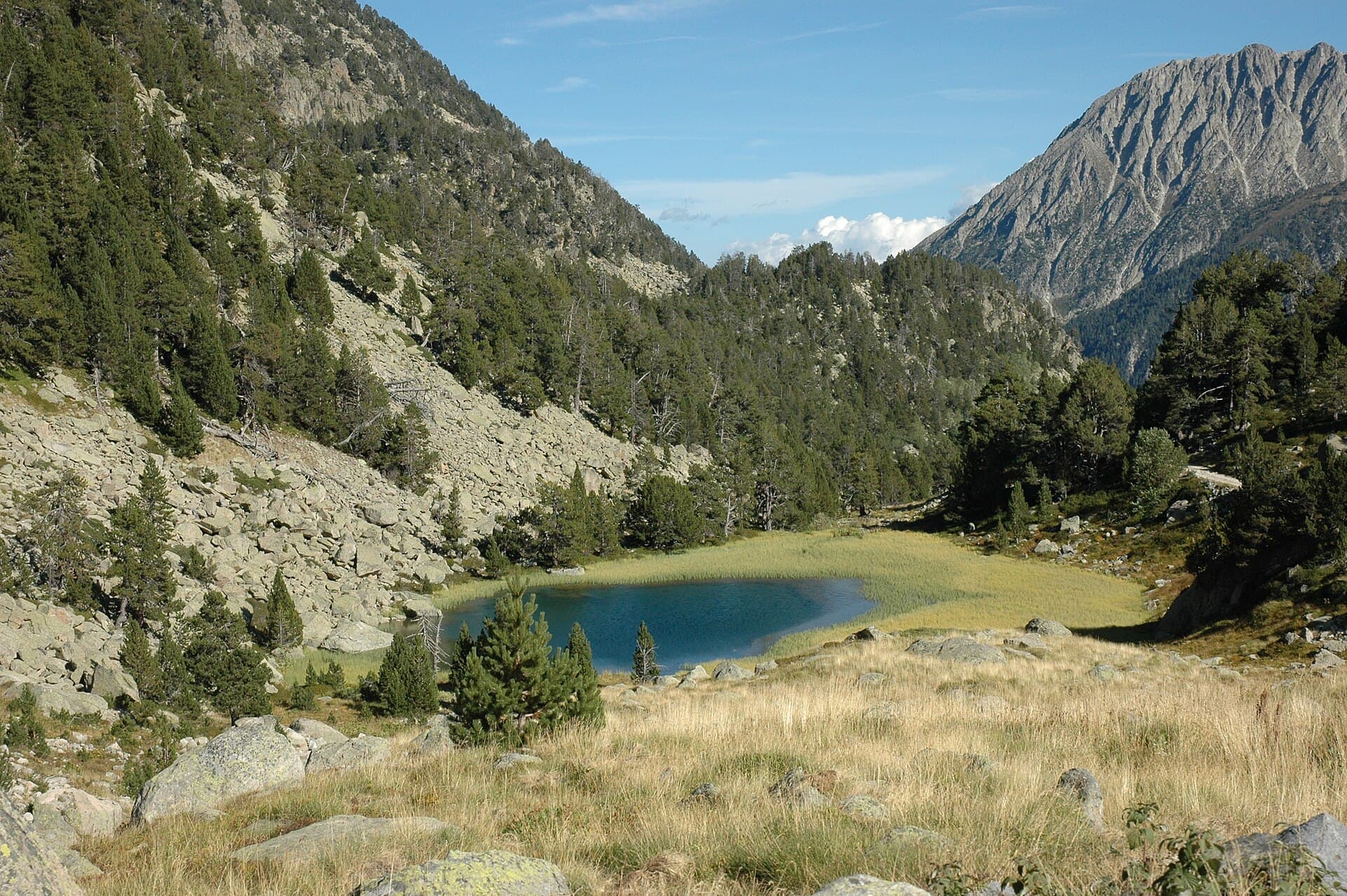 Estany de l'Estanyó (Andorra)