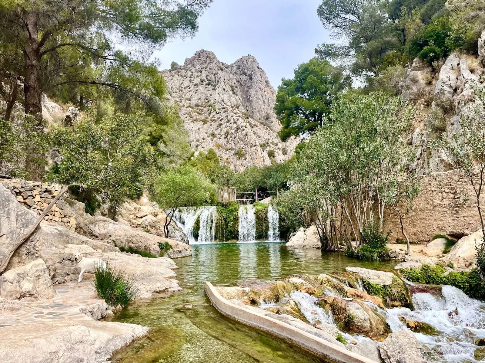 Fuentes del Algar cascadas pozas Callosa d'en Sarrià Alicante
