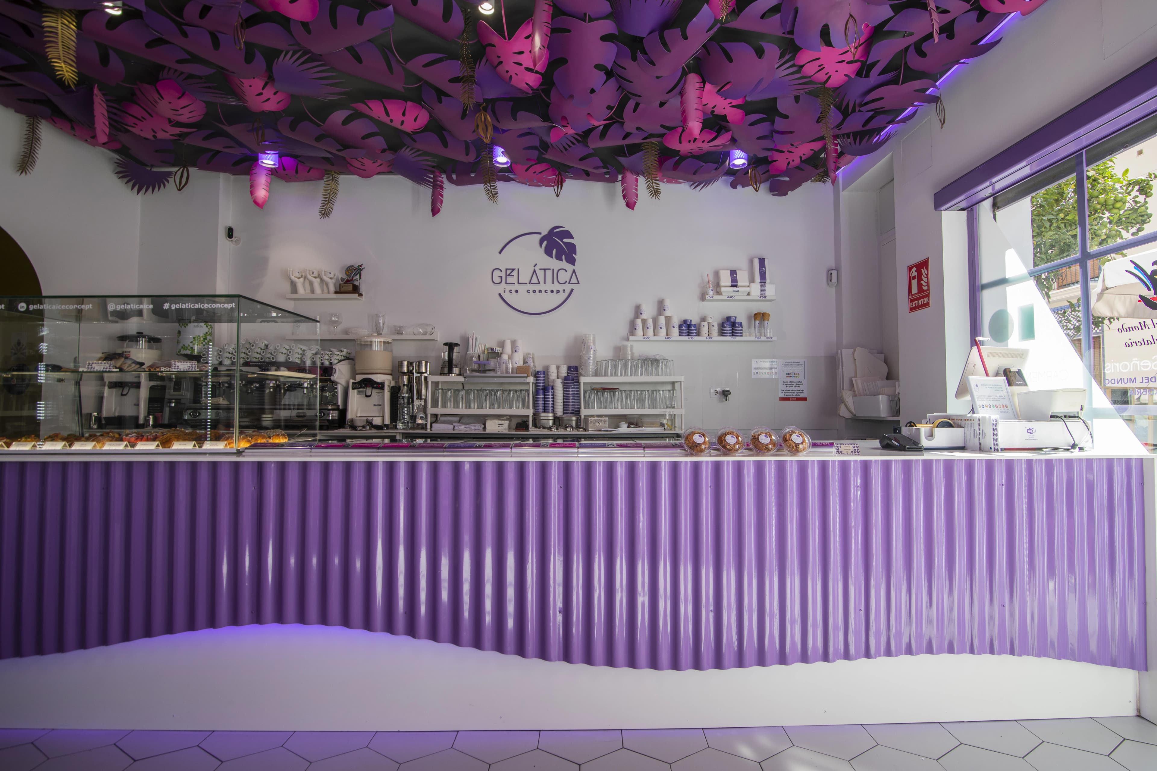 Imagen de Gelática Ice Concept en Valencia