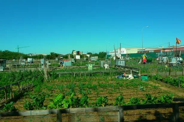 Imagen de Huertos de Hacienda San Antonio