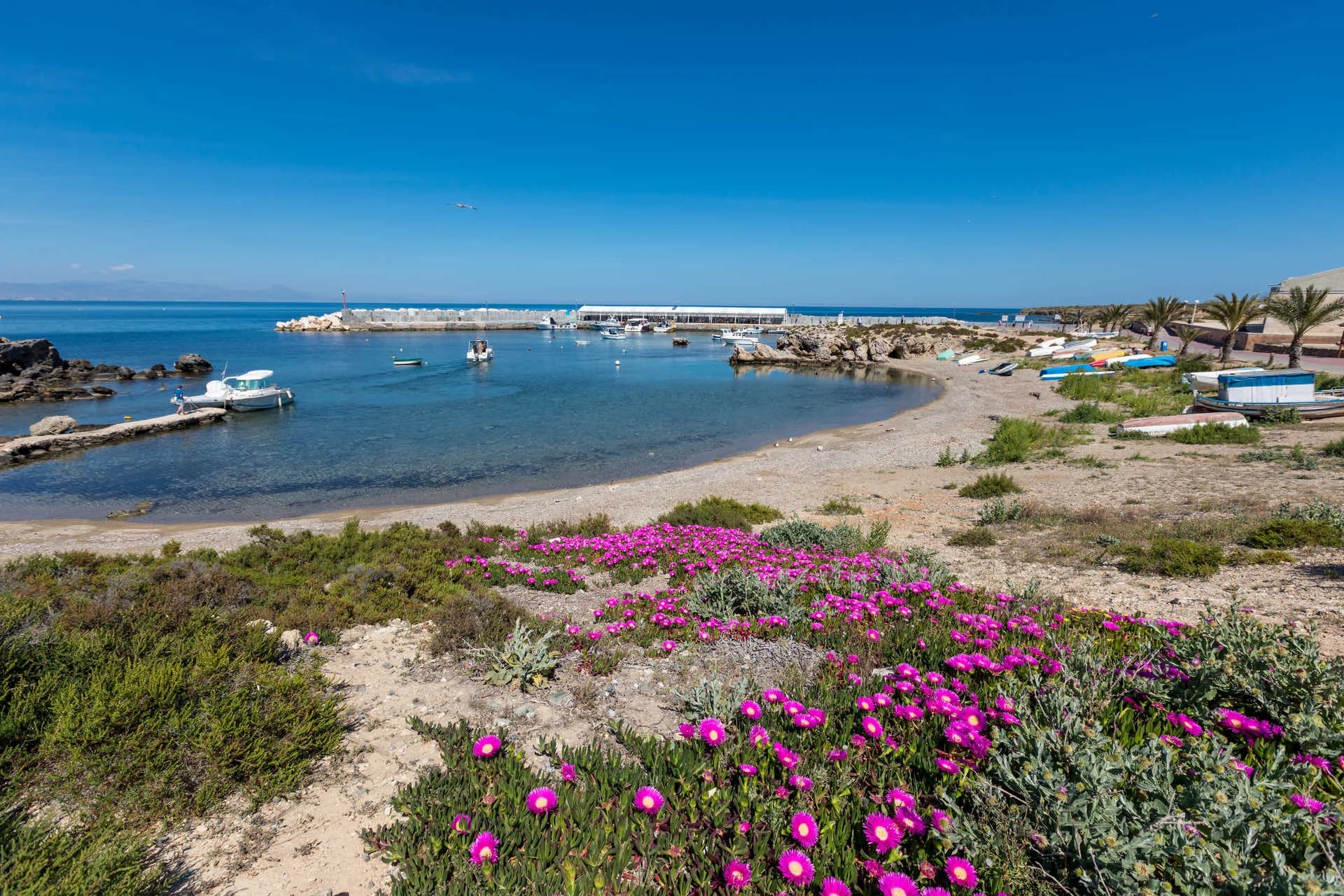 Isla de Tabarca Reserva Marina Alicante