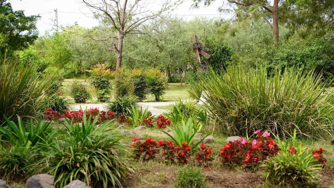 Jardín Botánico Sorteny flora pirenaica Ordino