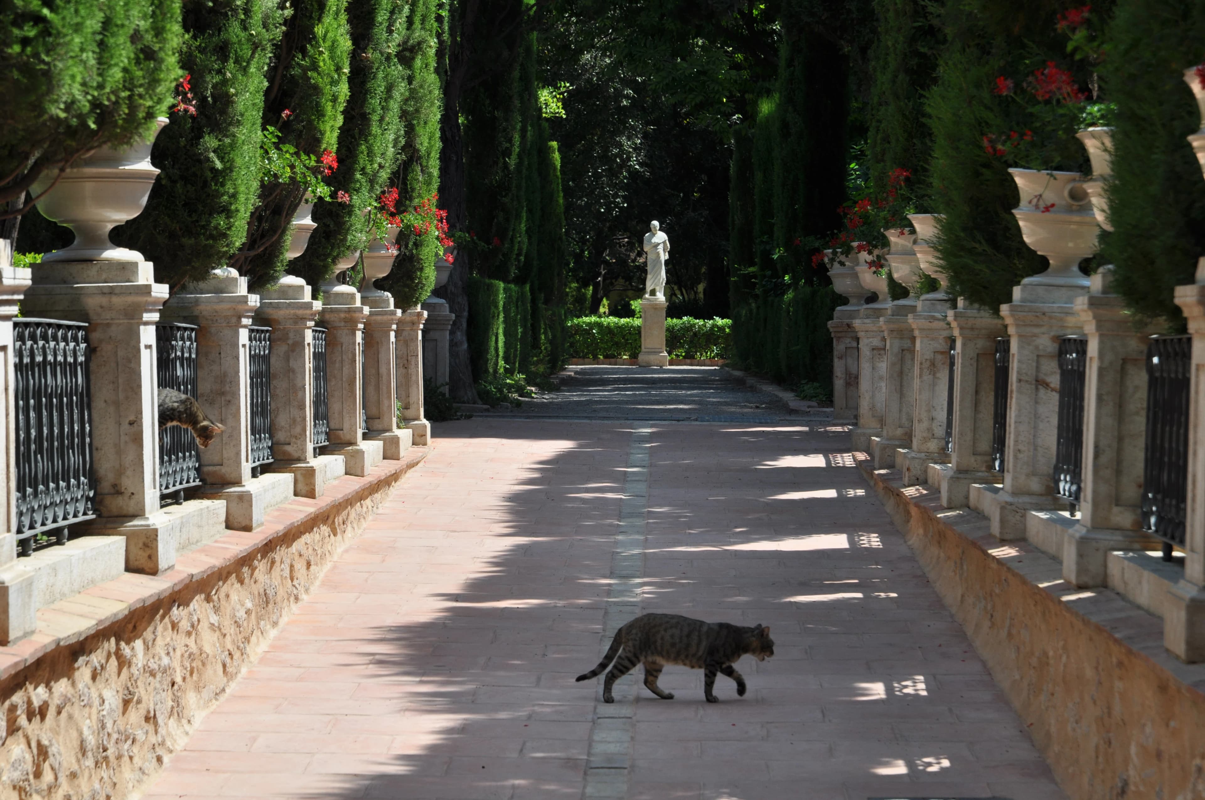 Imagen de Jardín de Monforte en Valencia