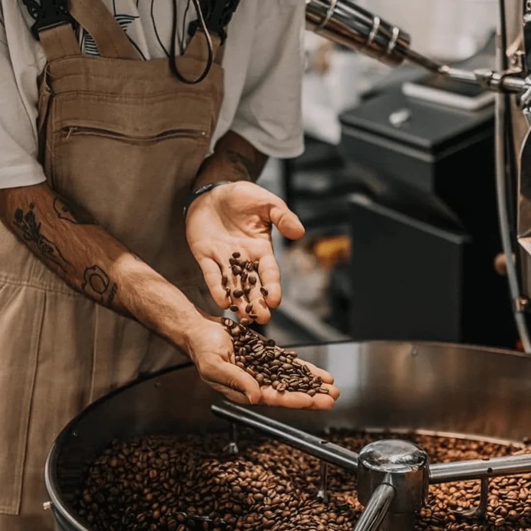 Lezzato Coffee tostadores artesanos La Laguna Tenerife