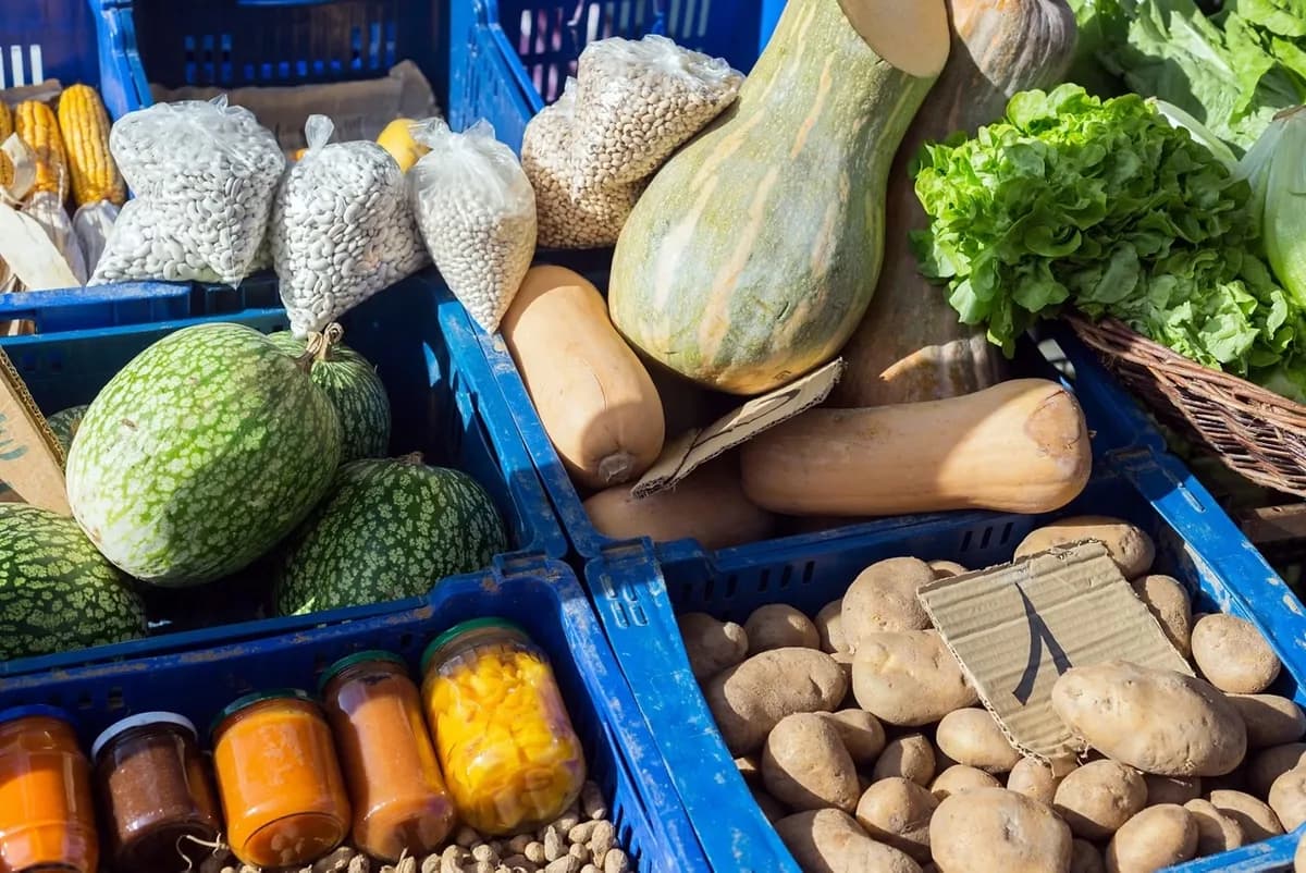 Puestos del Mercat de la Terra