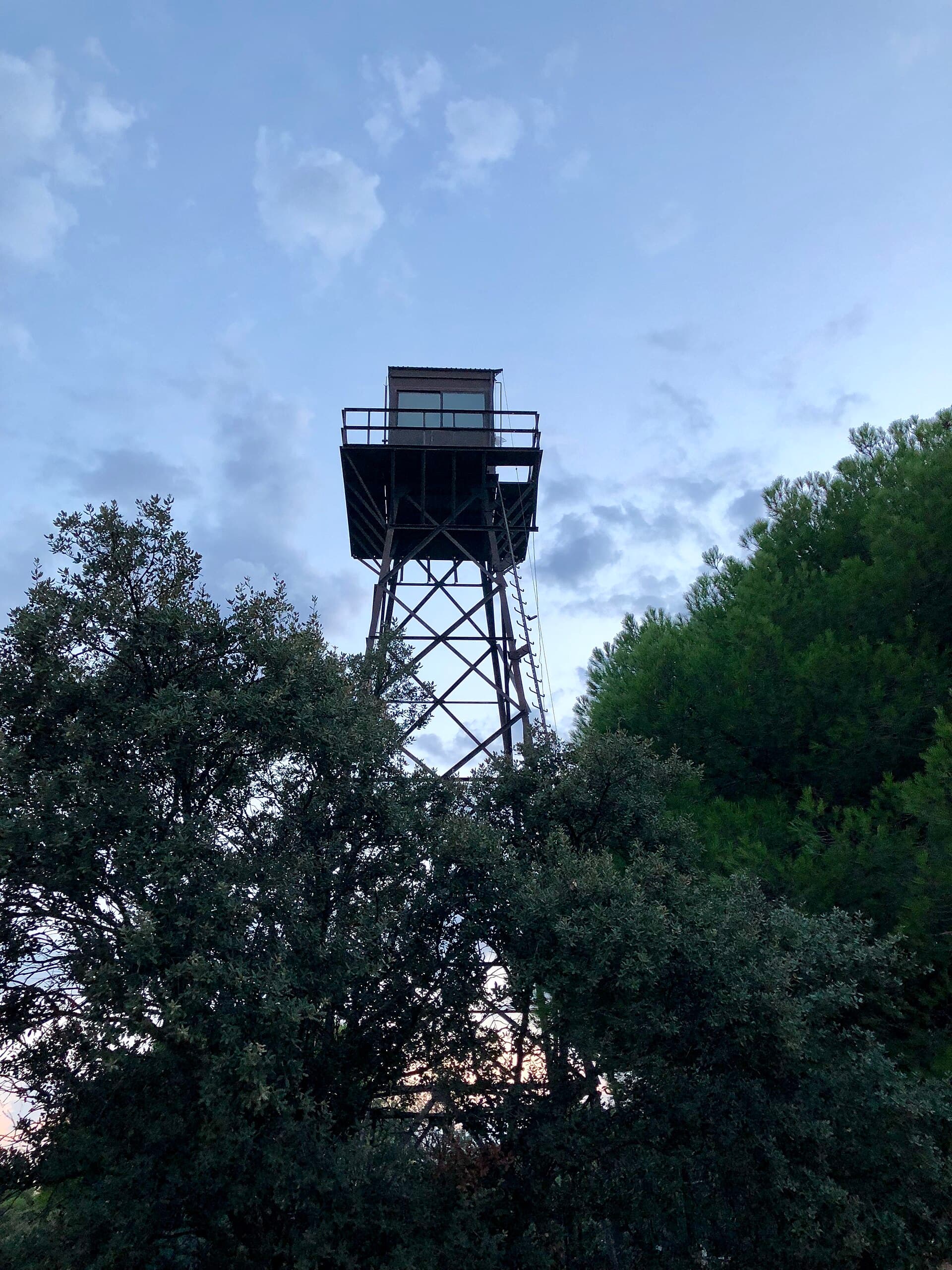 Monte del Pilar (Madrid)