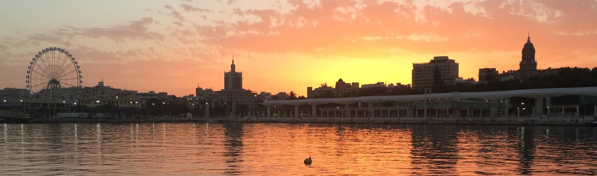 Imagen de Muelle Uno y Palmeral de las Sorpresas en Málaga
