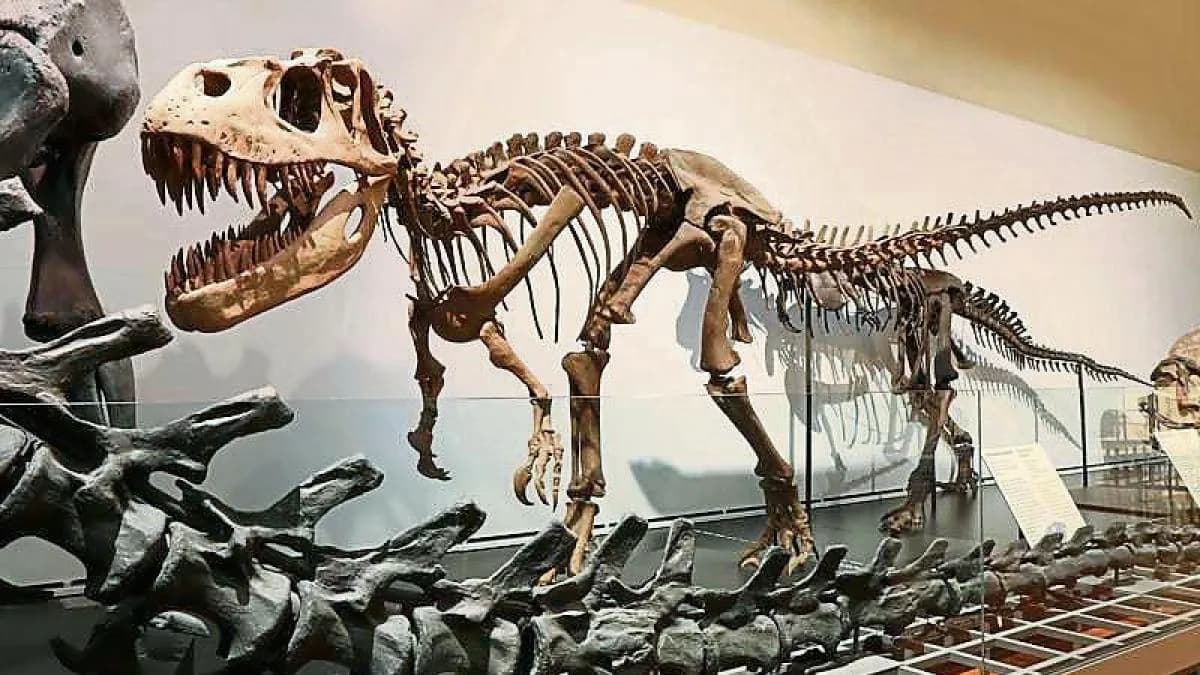 Esqueleto de dinosaurio en museo