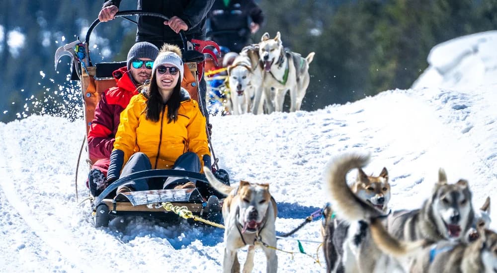 Mushing trineos perros husky Grau Roig Andorra