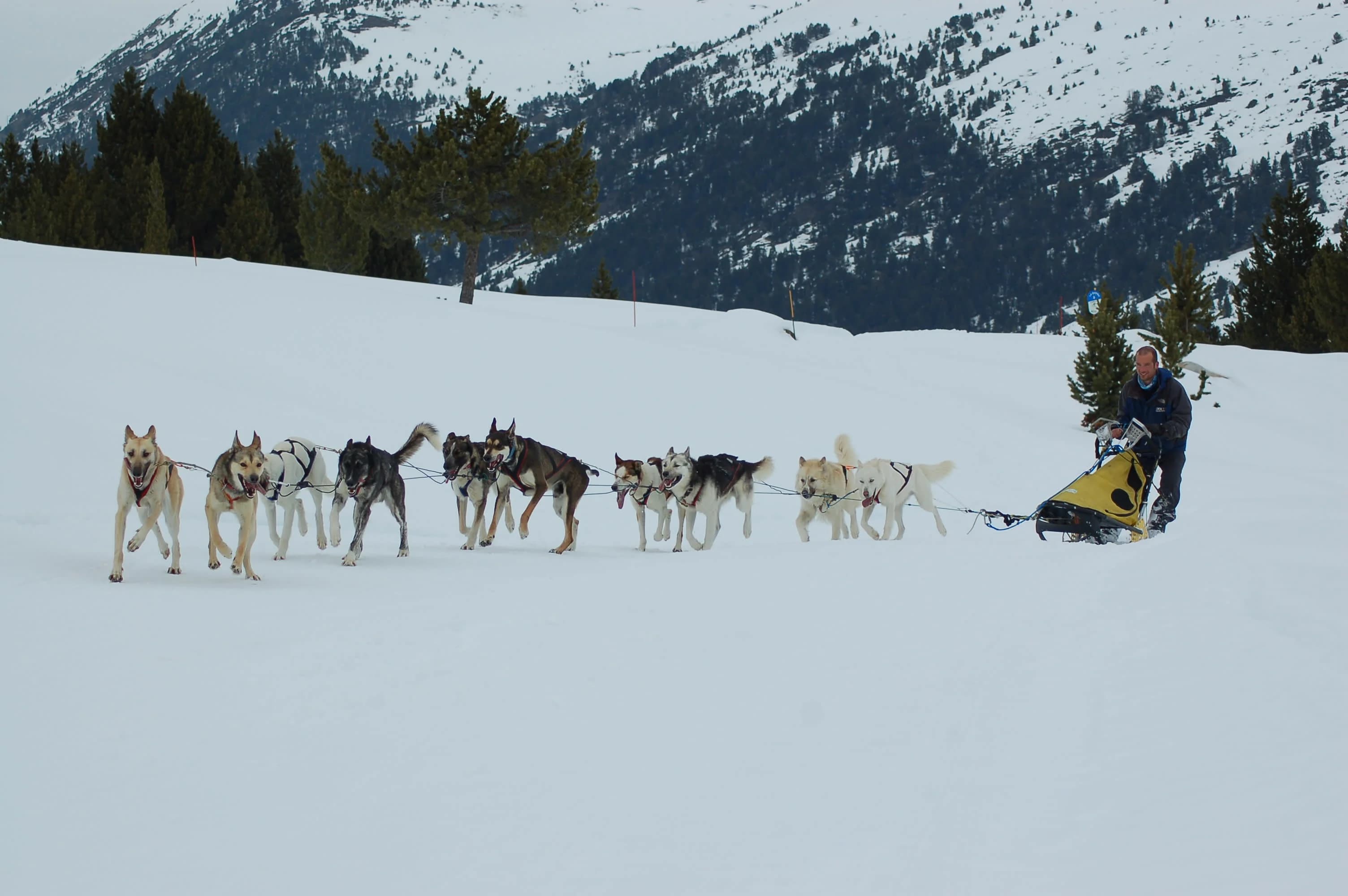 Mushing verano trineos huskies Grandvalira Andorra