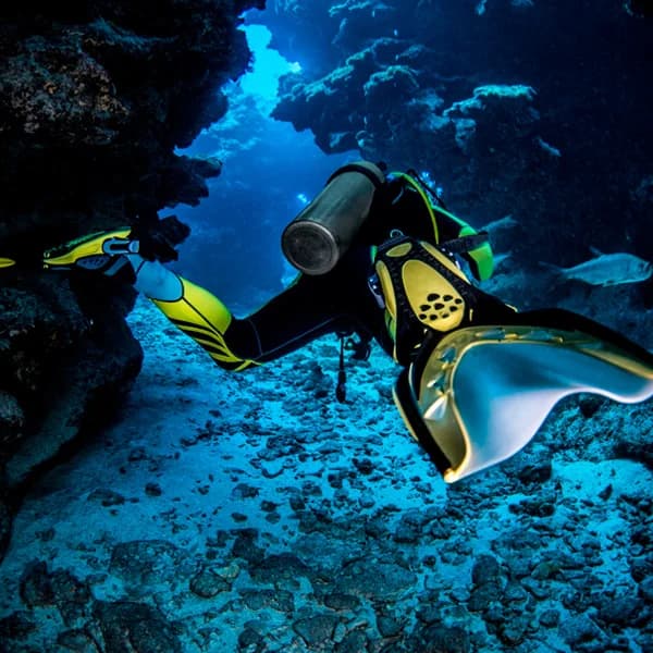 Natura Dive centro buceo Málaga