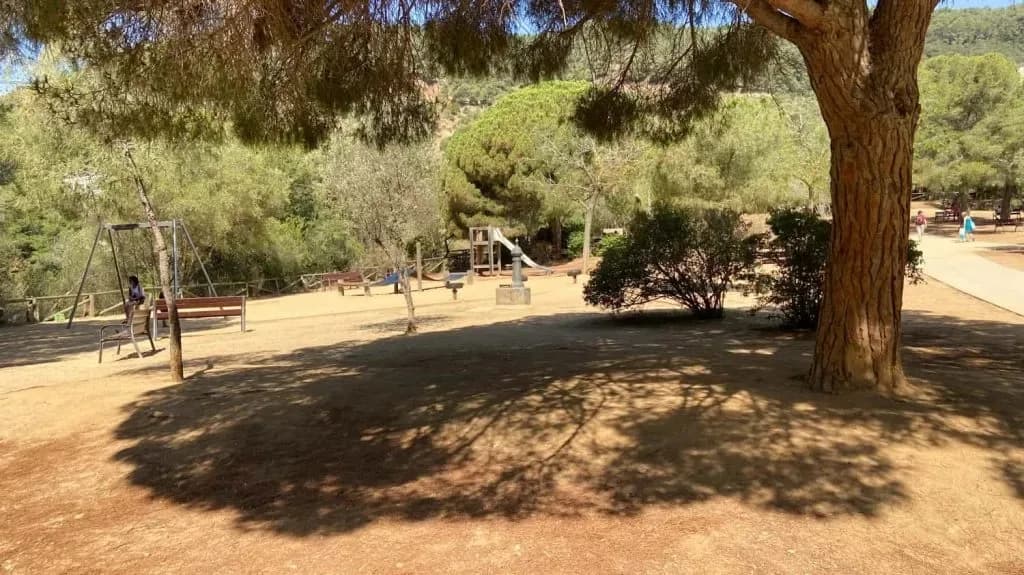 Bosque natural del Parc de l'Oreneta