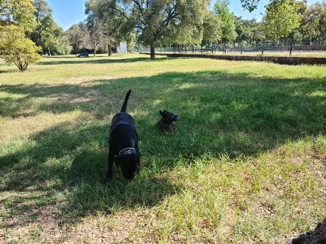 Zona canina del Parque del Alamillo