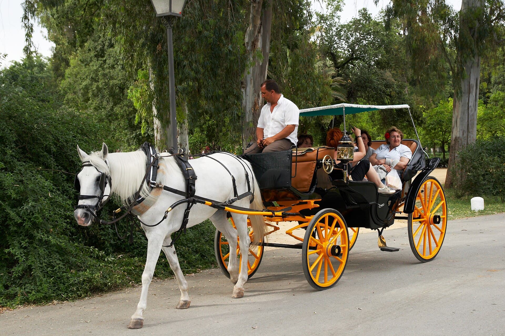 Parque de María Luisa (Sevilla)