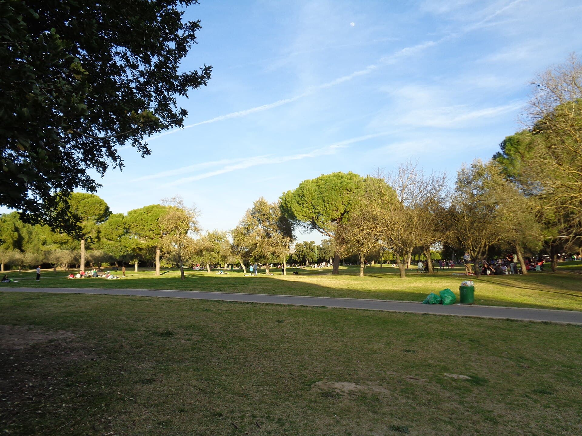 Parque del Alamillo (Sevilla)