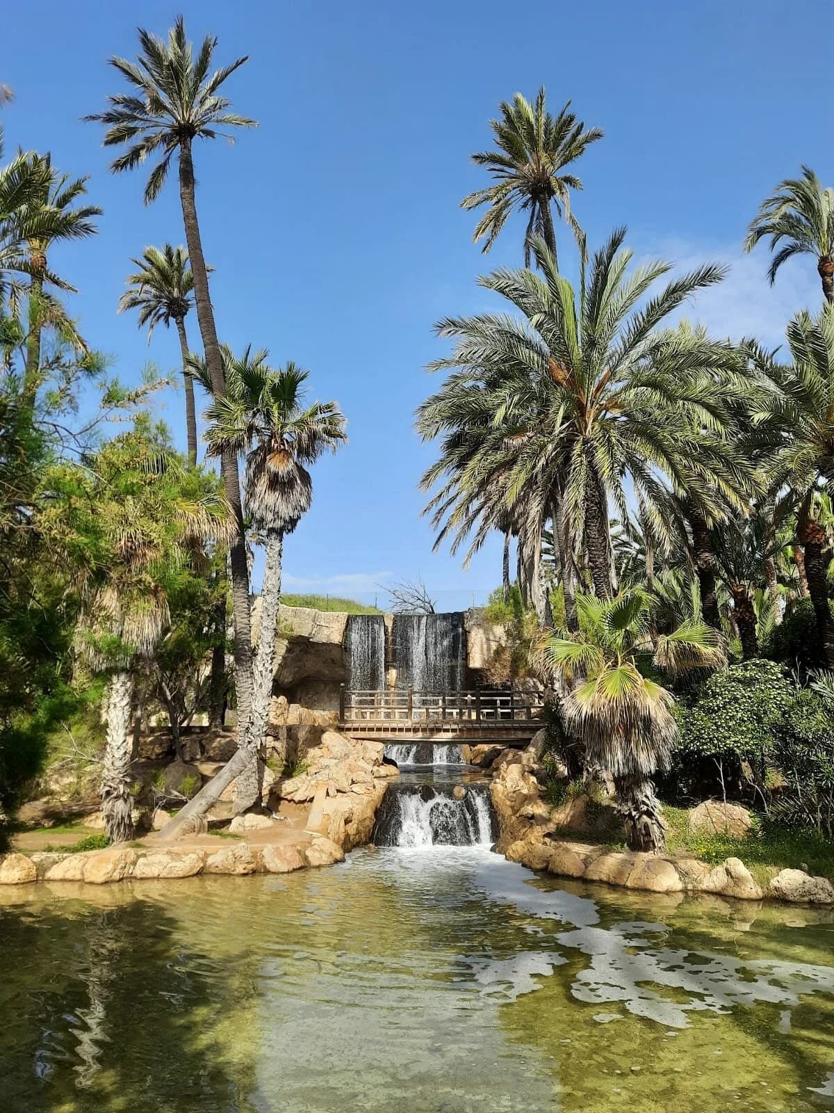 Parque El Palmeral Avenida Elche Alicante
