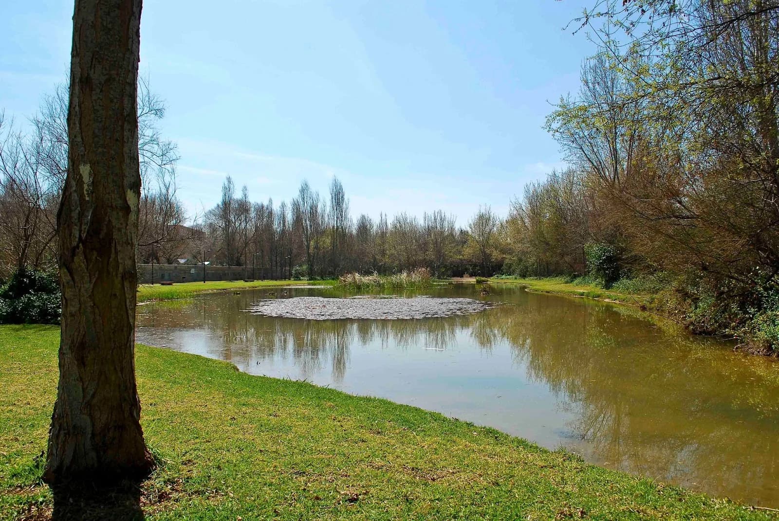 Parque de la Rambleta Valencia