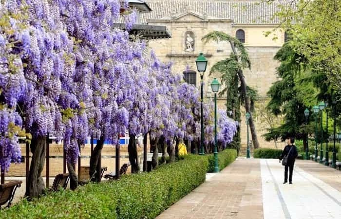 Imagen de Paseo de Merchán o de la Vega en Toledo