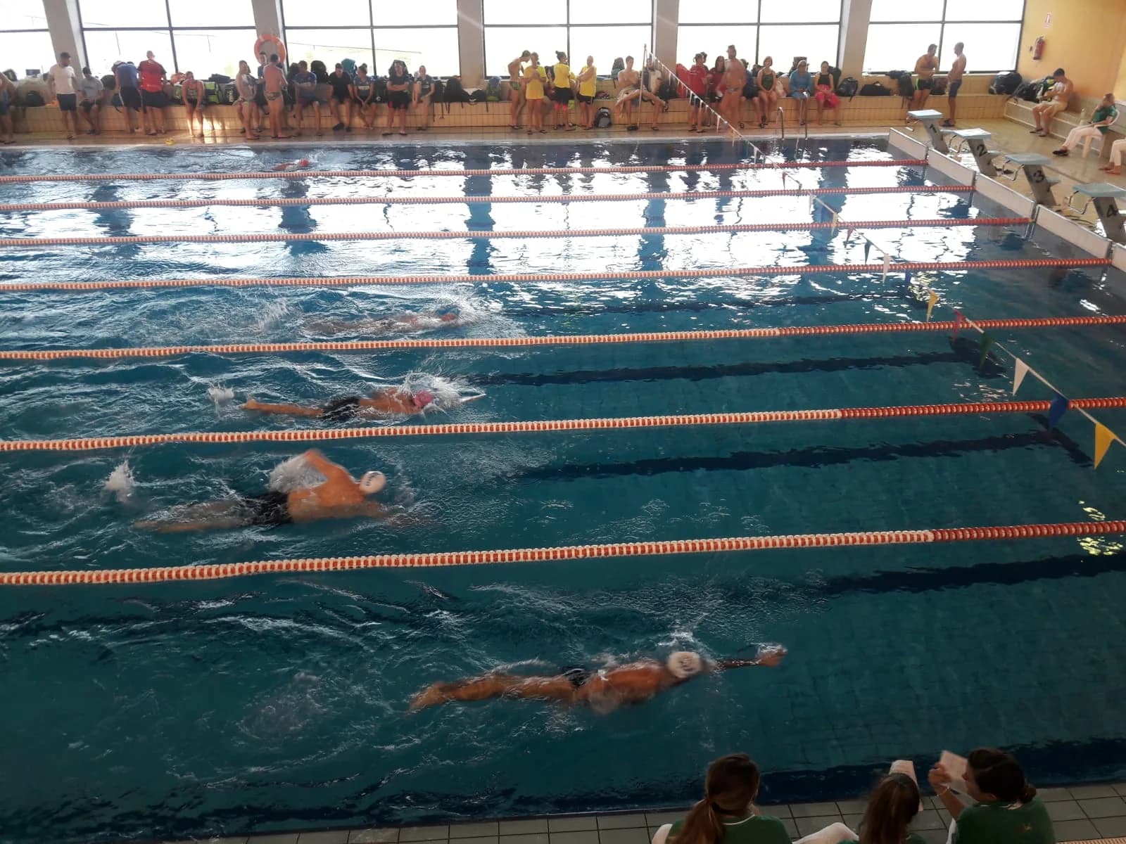 Piscina municipal Tiro de Línea Sevilla