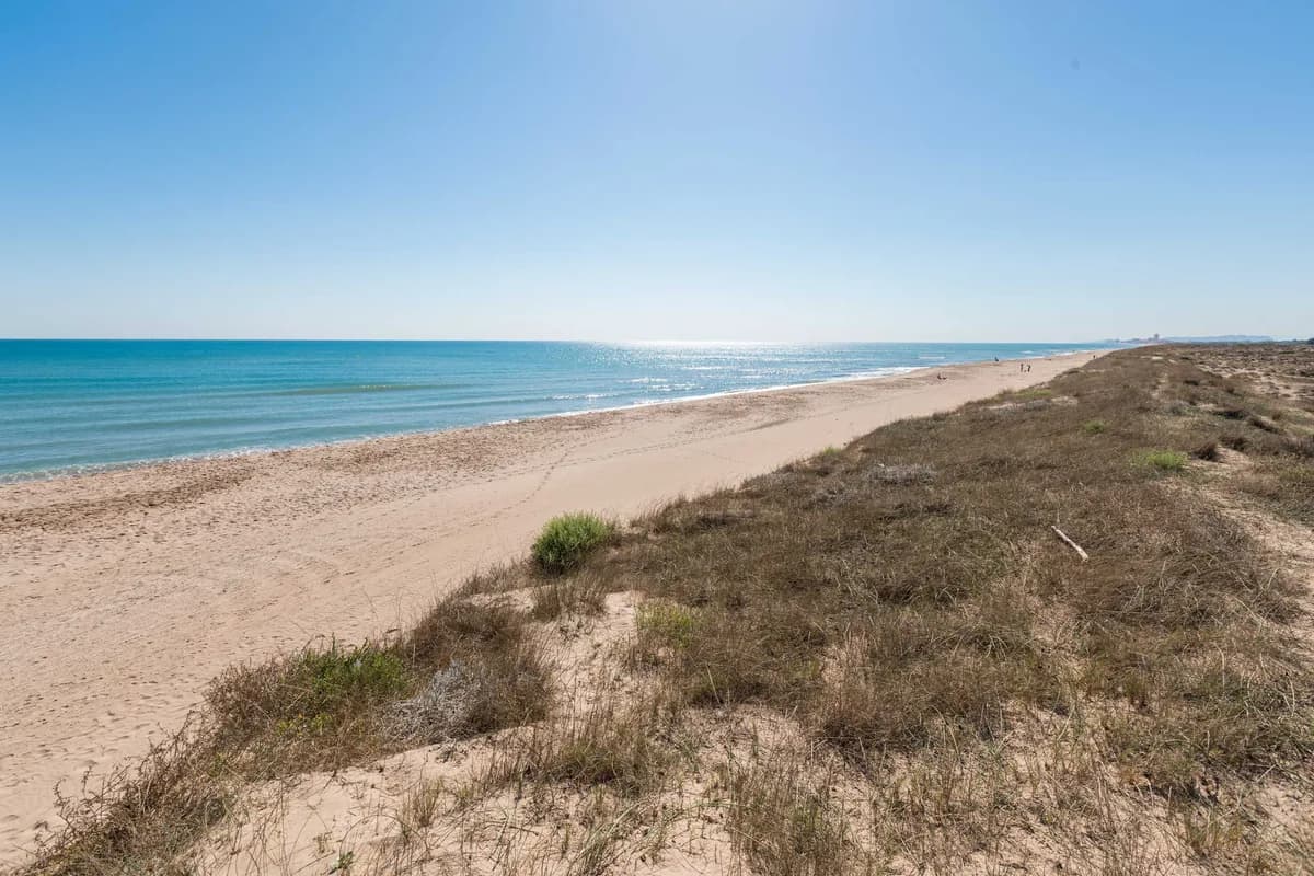Playa de El Saler