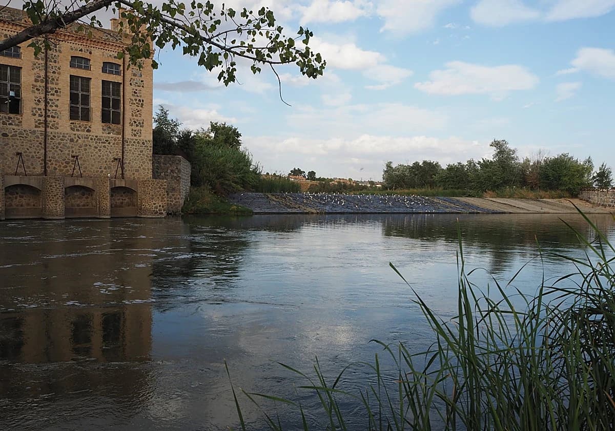 Imagen de Presa de Safont en Toledo