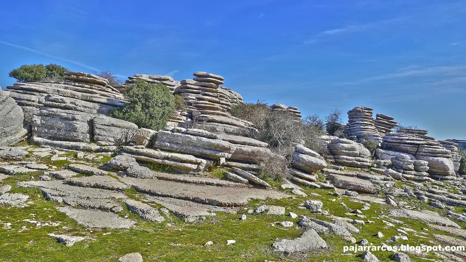 Tornillo del Torcal monumento natural Antequera Málaga