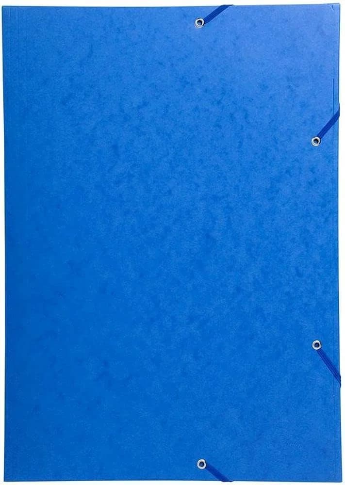 Exacompta 59507E — Carpeta Gomas A3 para Láminas y Serigrafías