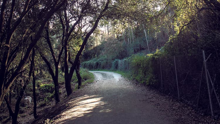5 Rutas Secretas para Descubrir Barcelona como un Local