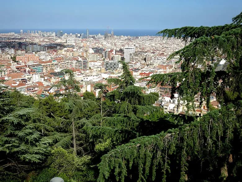 Vista urbana desde el Turó del Putxet rodeado de vegetación