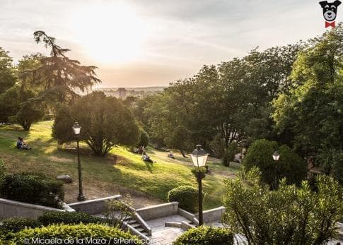 Jardines de Las Vistillas con vista a la Catedral de la Almudena
