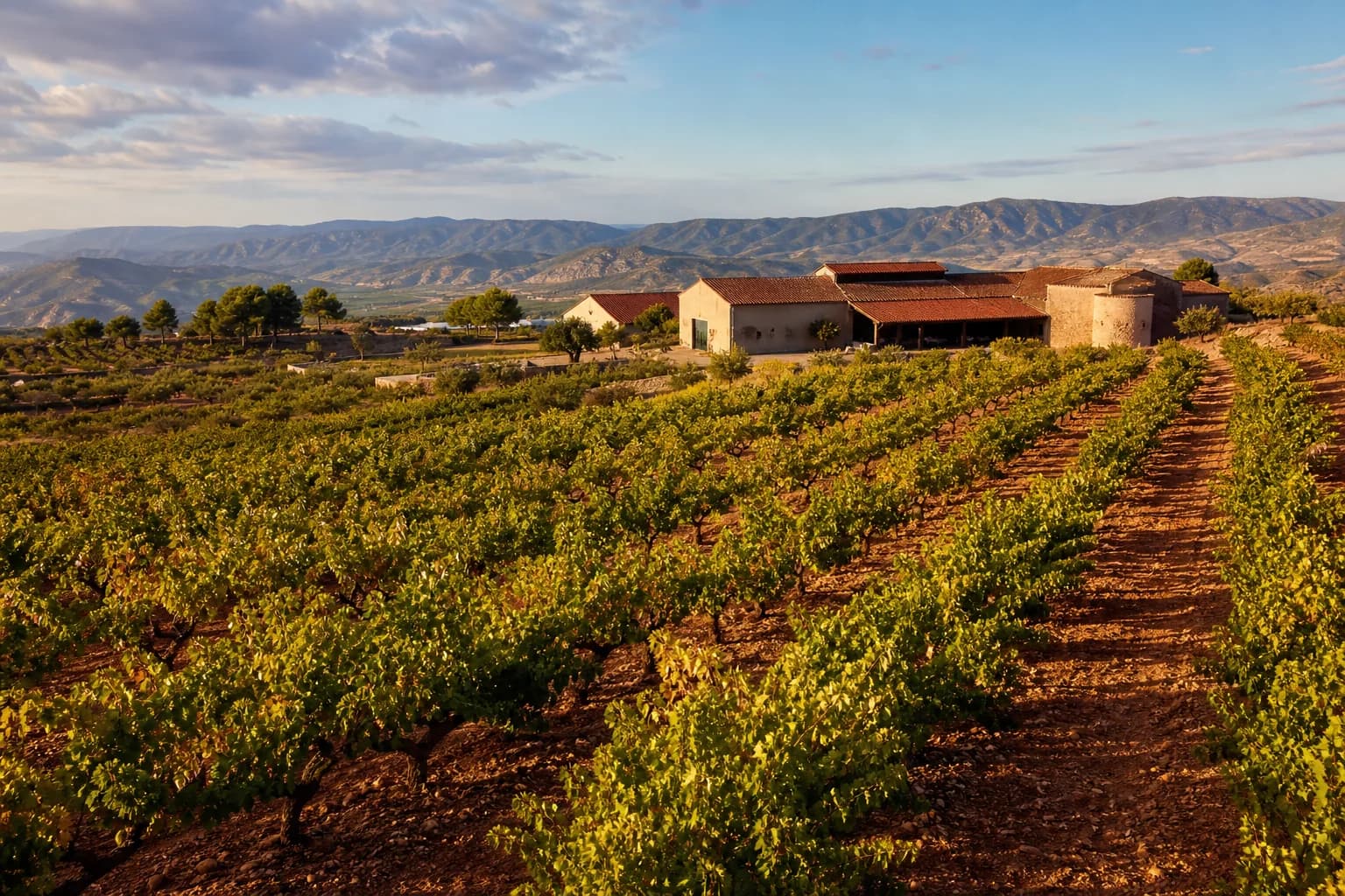 Ruta del Vino por Utiel-Requena desde Valencia (D.O. Utiel-Requena)