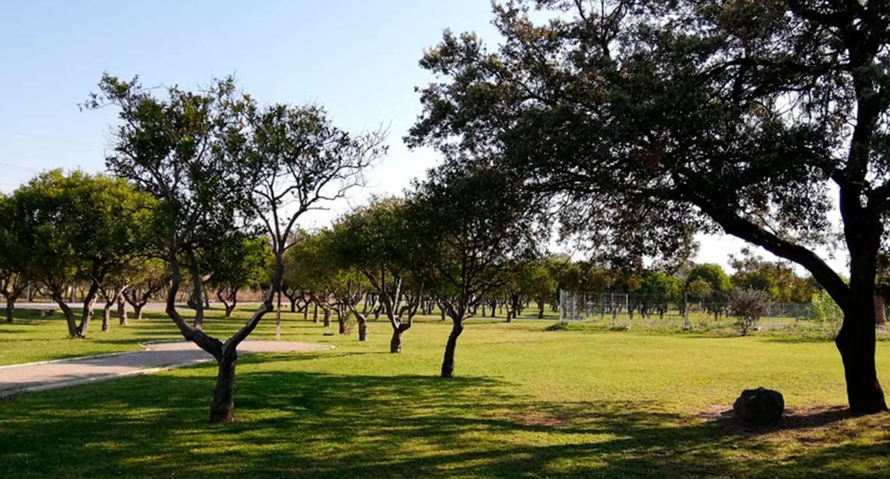 Vista amplia del Parque del Alamillo