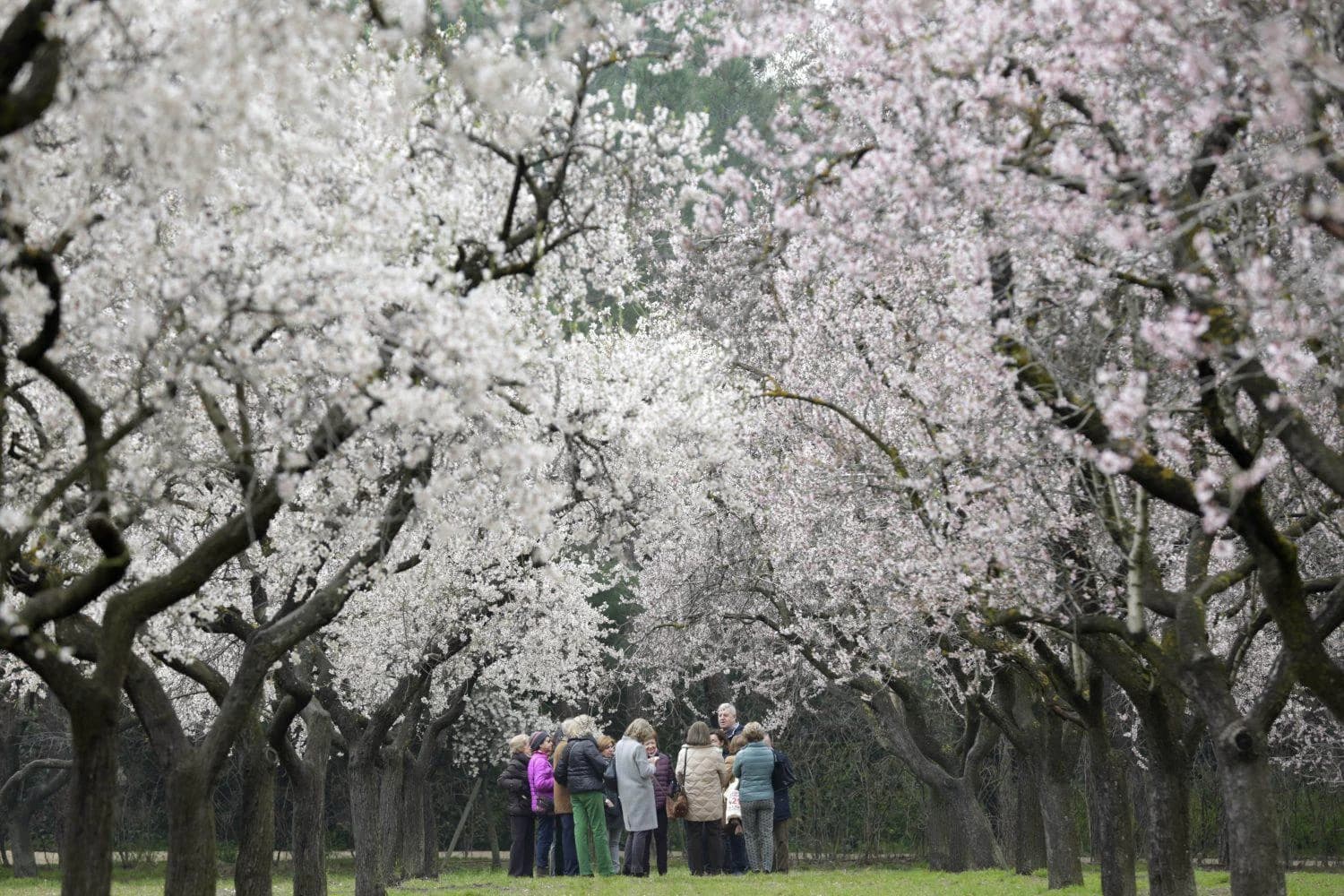 Imagen de Quinta de los Molinos en Madrid