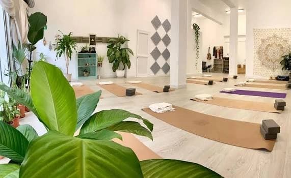 Imagen de Acrosense Yoga