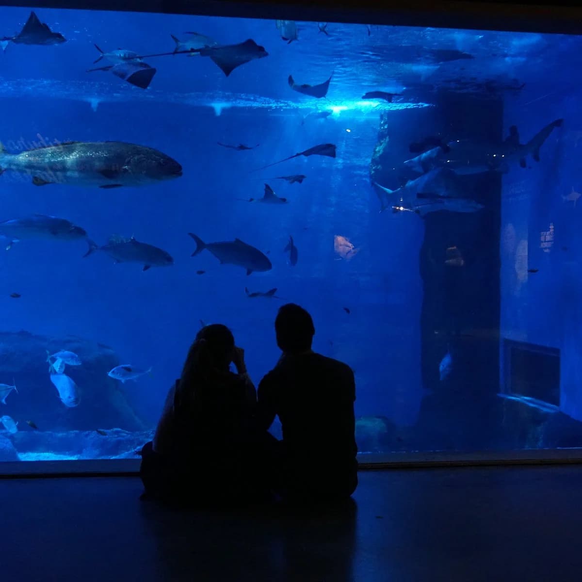 Acuario de Sevilla