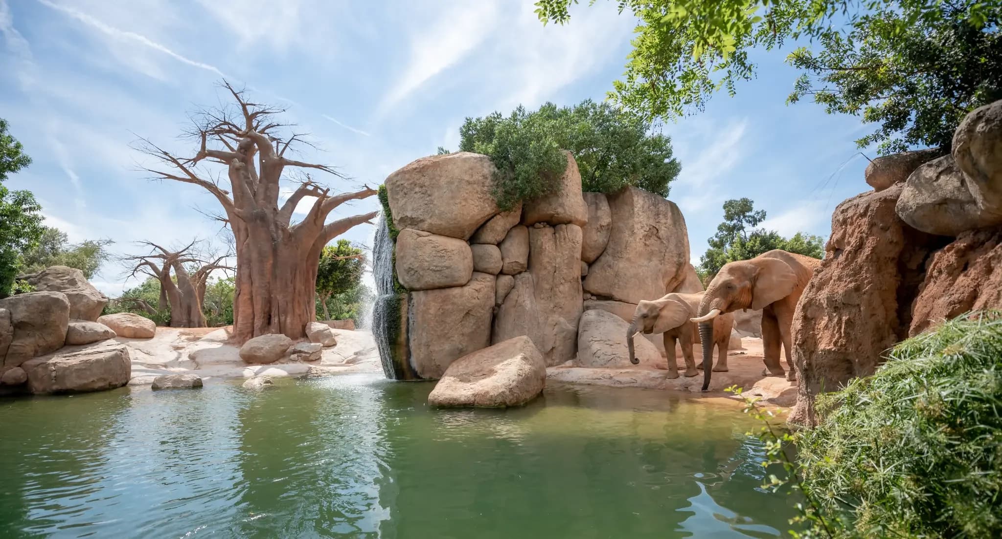 Bioparc Valencia